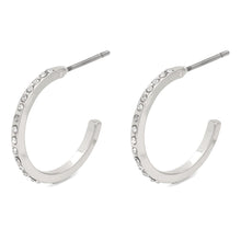  Roberta Pi 17mm Earrings- Silver Plated/Crystal